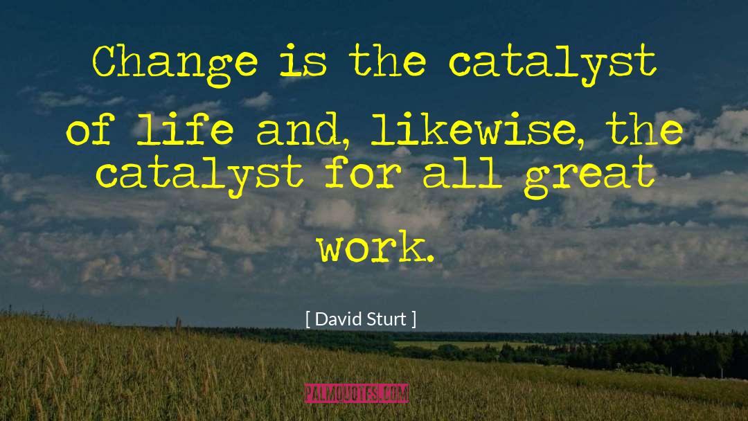 Catalyst quotes by David Sturt