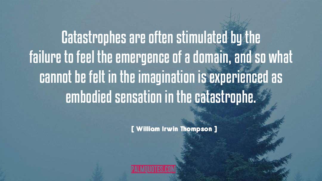 Catastrophes quotes by William Irwin Thompson