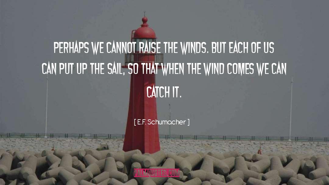 Catch Phrases quotes by E.F. Schumacher