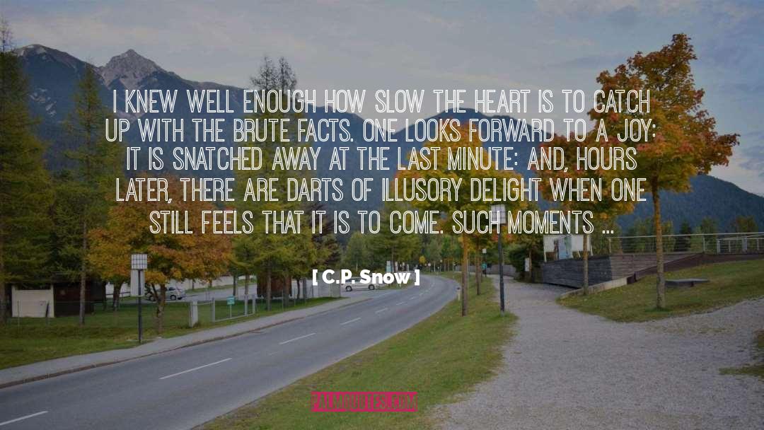 Catch Up quotes by C.P. Snow