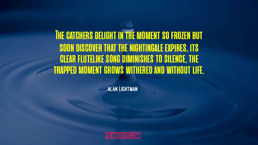 Catchers quotes by Alan Lightman