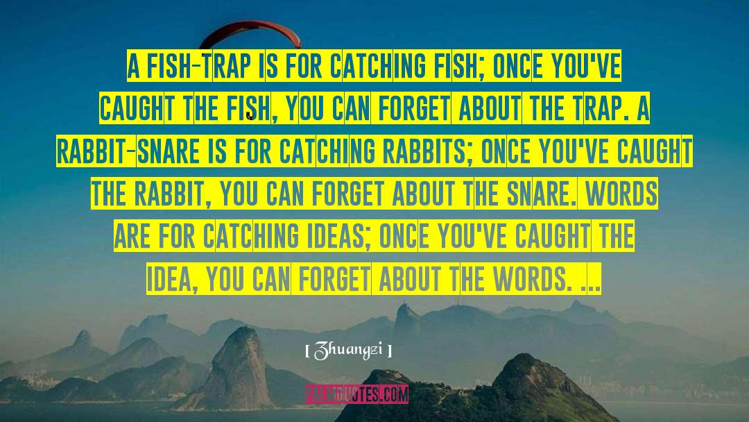 Catching Fish quotes by Zhuangzi