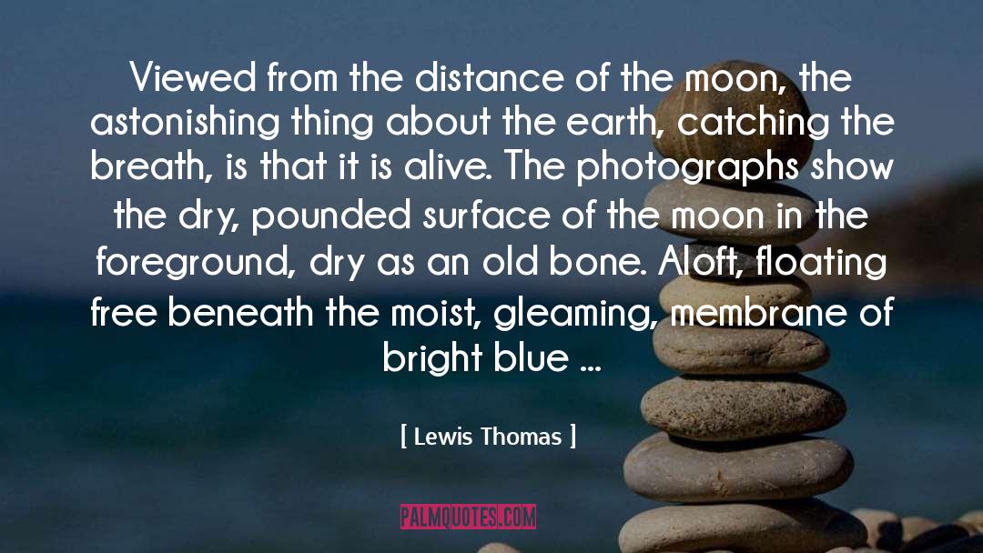 Catching On quotes by Lewis Thomas