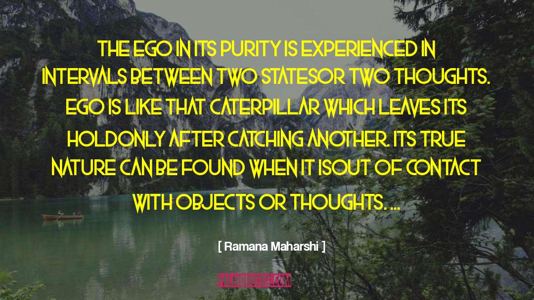Catching On quotes by Ramana Maharshi