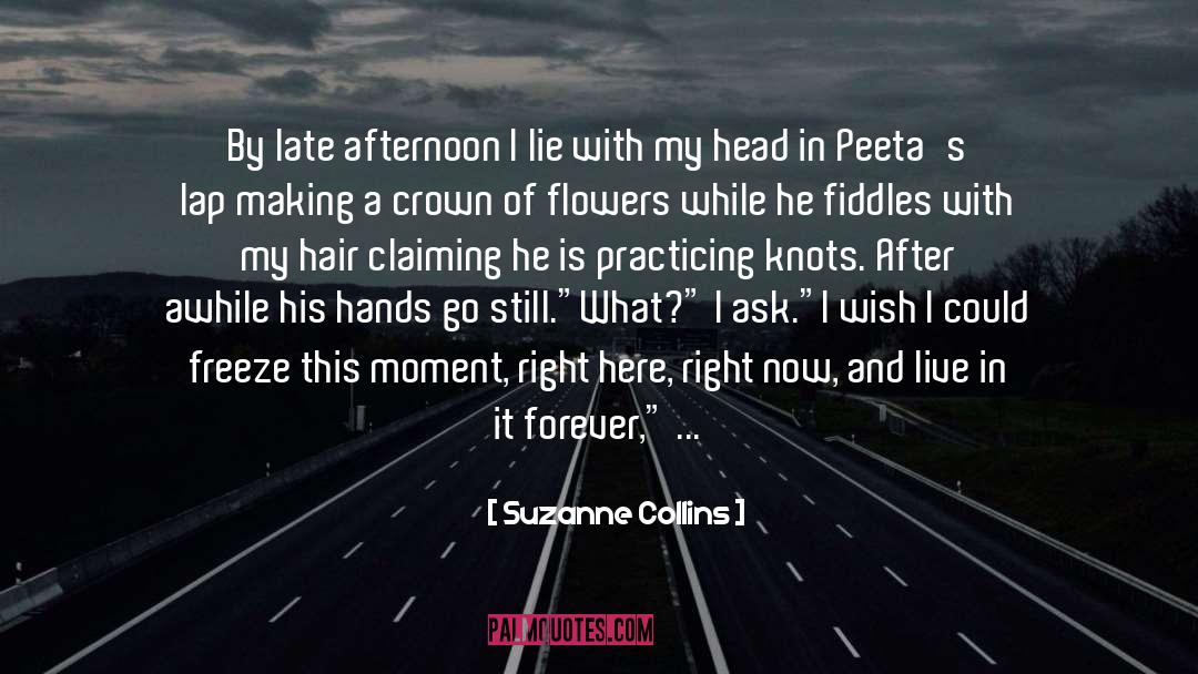 Catching On quotes by Suzanne Collins