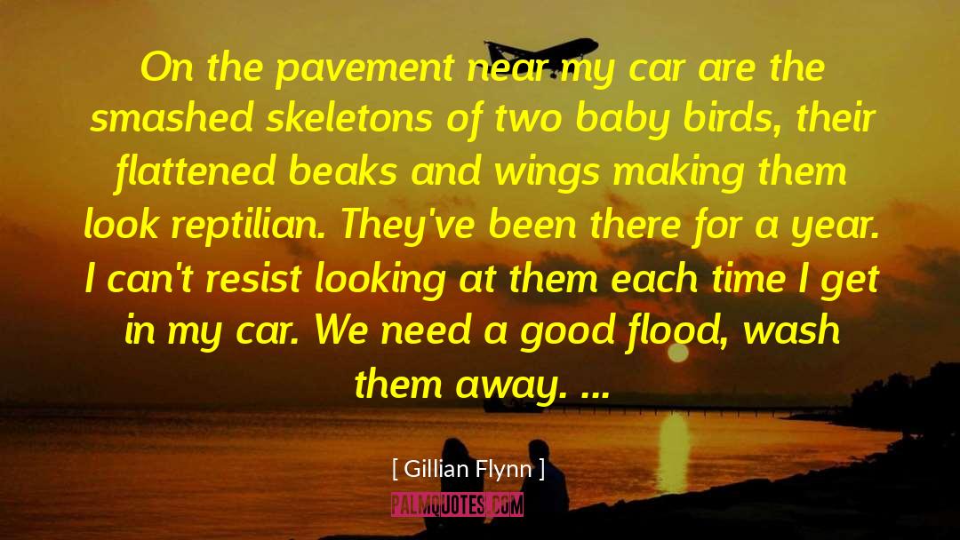 Catchy Car Wash quotes by Gillian Flynn