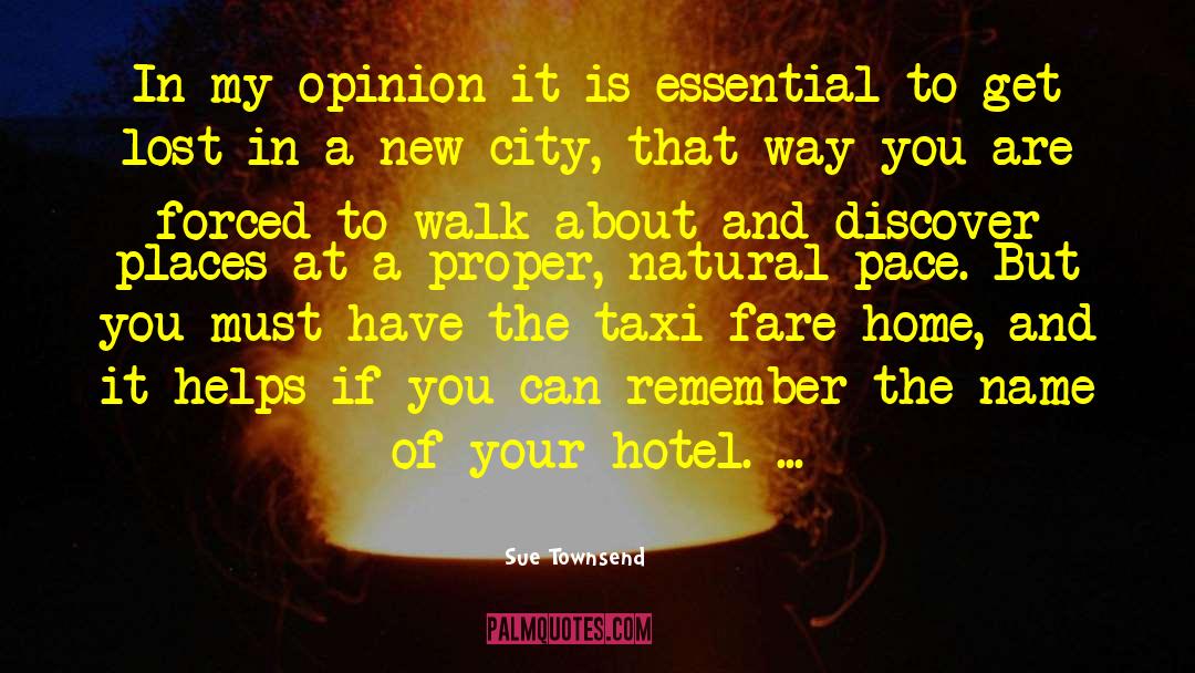 Catchy Hotel quotes by Sue Townsend