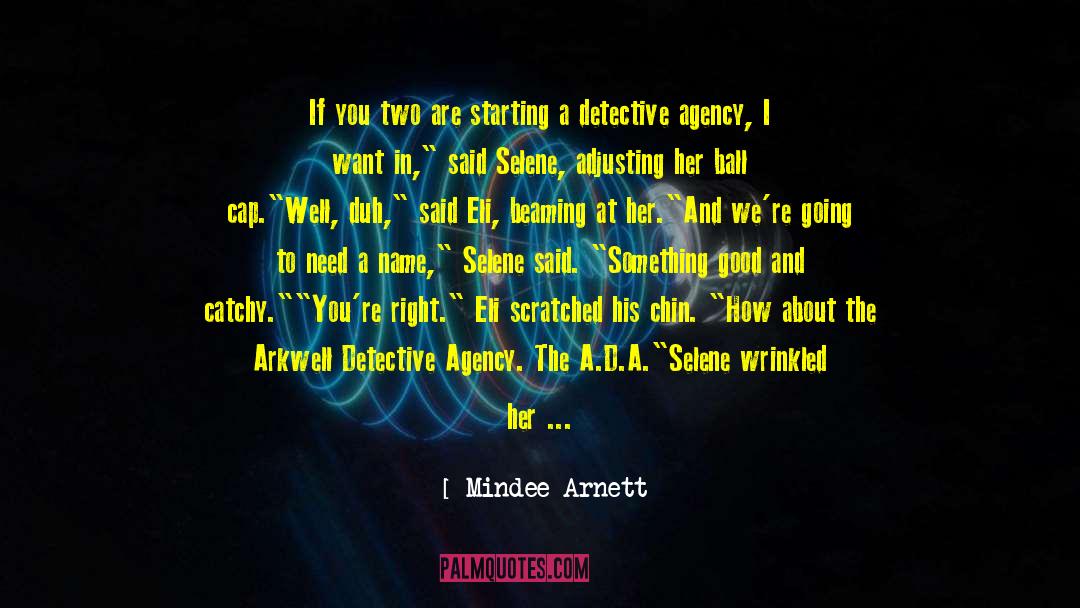 Catchy quotes by Mindee Arnett