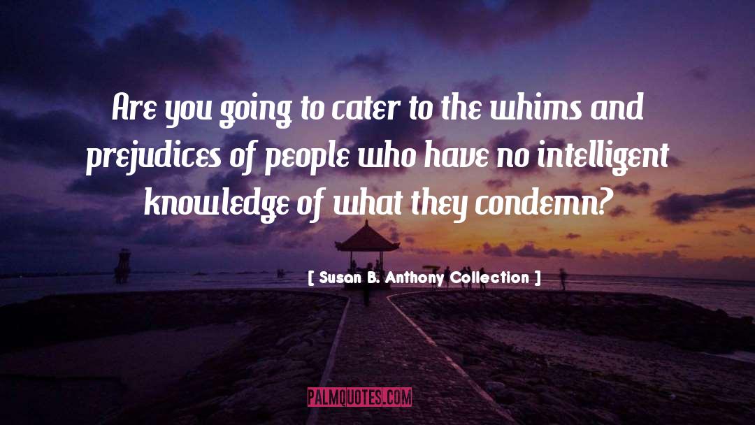 Cater quotes by Susan B. Anthony Collection