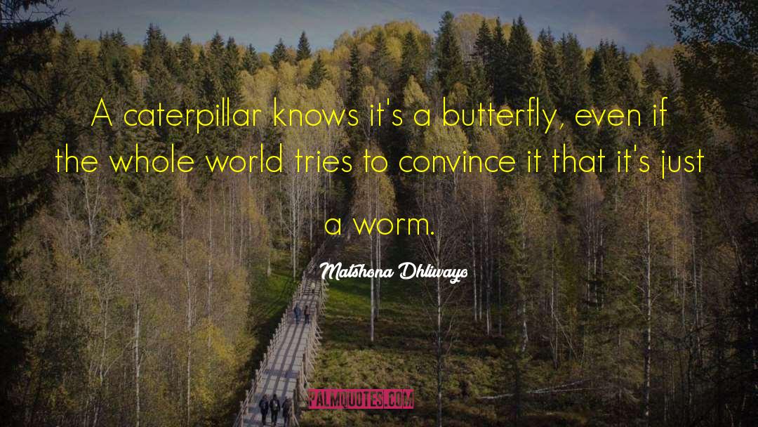 Caterpillar Blook quotes by Matshona Dhliwayo