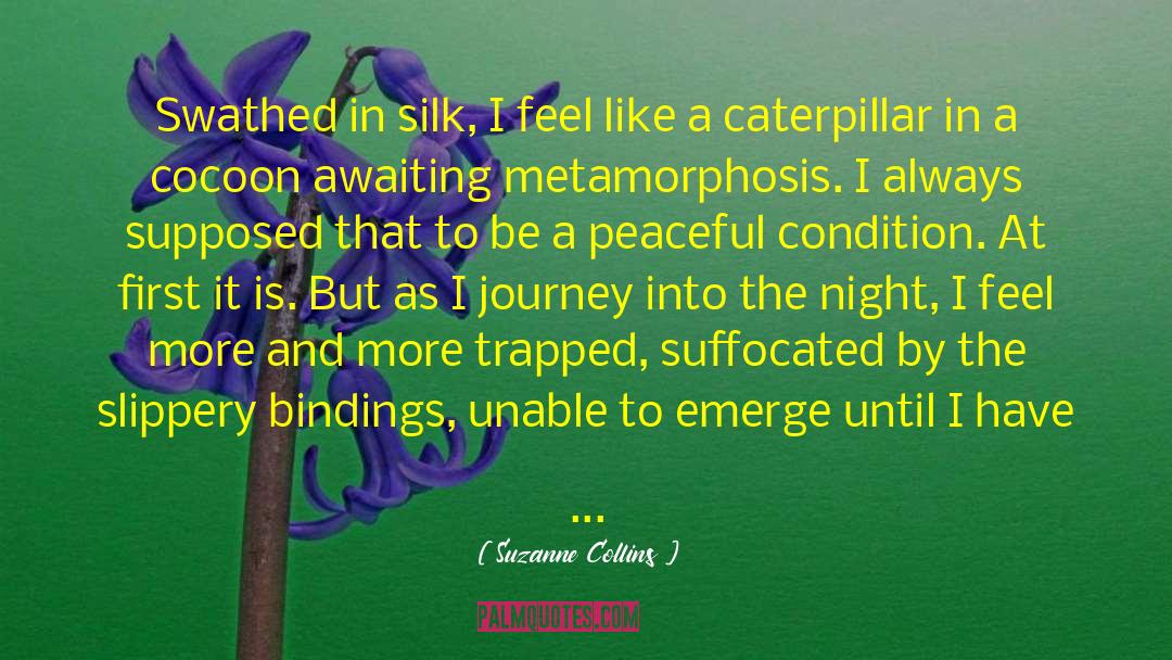 Caterpillar quotes by Suzanne Collins