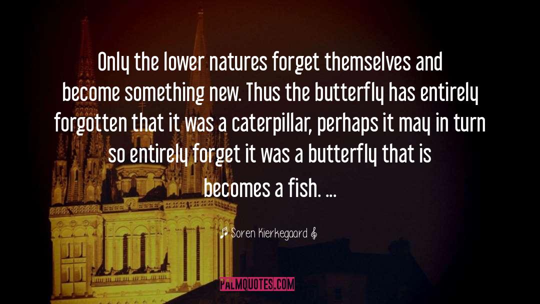 Caterpillar quotes by Soren Kierkegaard