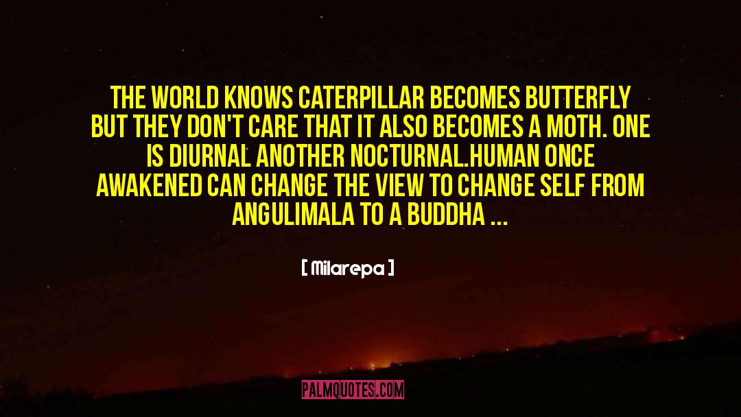 Caterpillar quotes by Milarepa