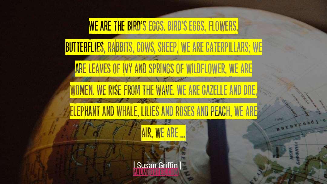 Caterpillars quotes by Susan Griffin