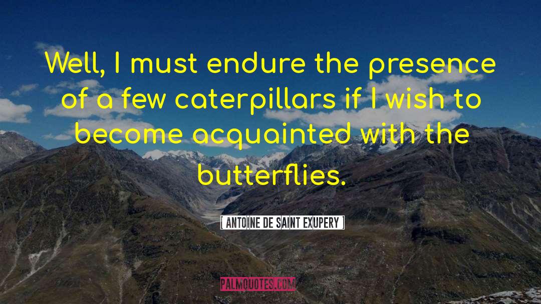 Caterpillars quotes by Antoine De Saint Exupery