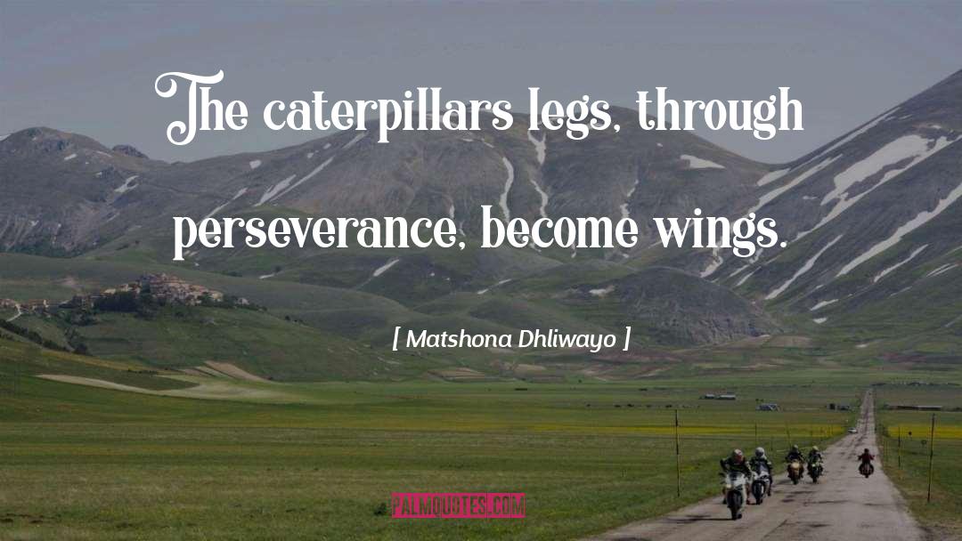 Caterpillars quotes by Matshona Dhliwayo