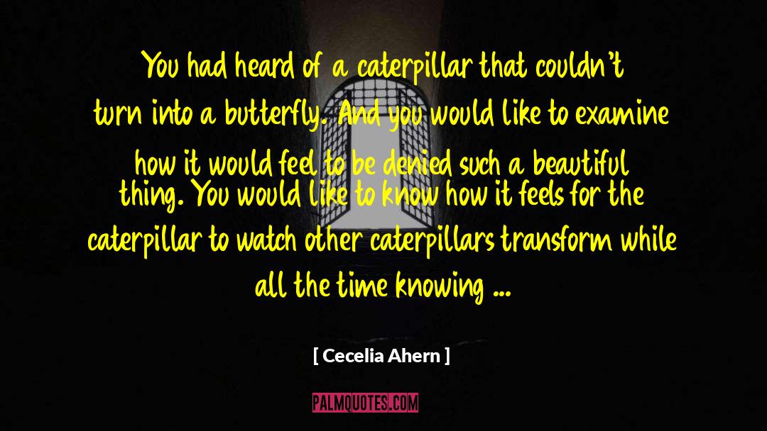 Caterpillars quotes by Cecelia Ahern