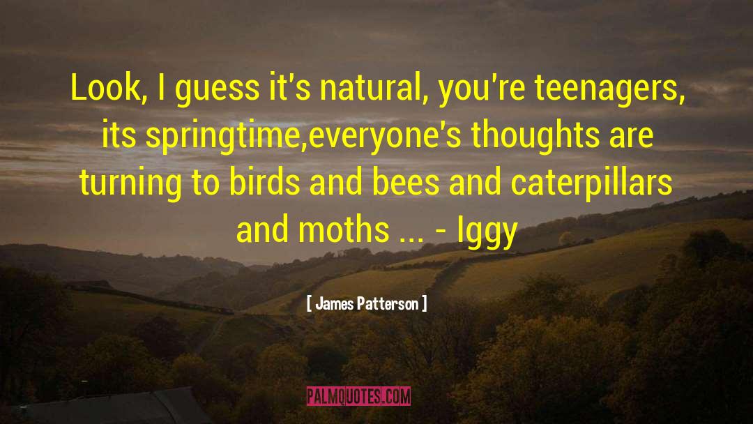 Caterpillars quotes by James Patterson