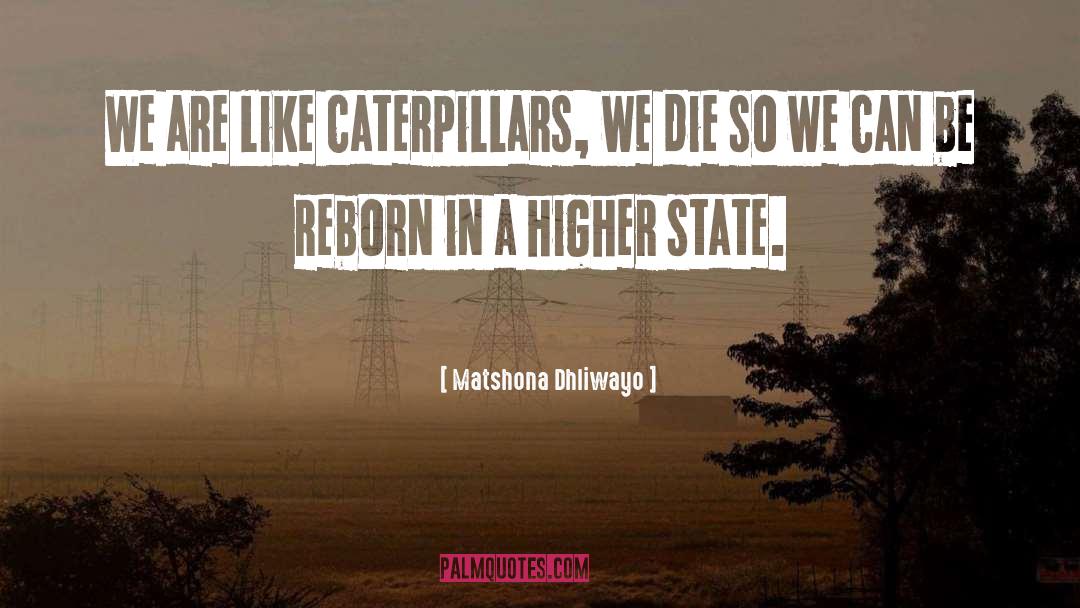 Caterpillars quotes by Matshona Dhliwayo