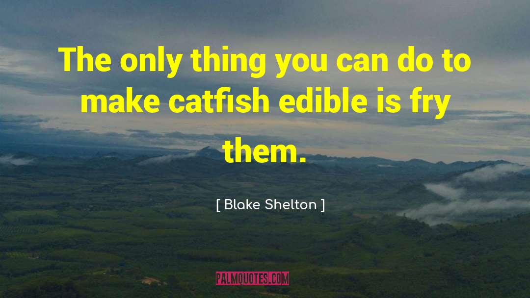 Catfish quotes by Blake Shelton