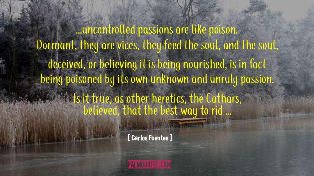 Cathars quotes by Carlos Fuentes