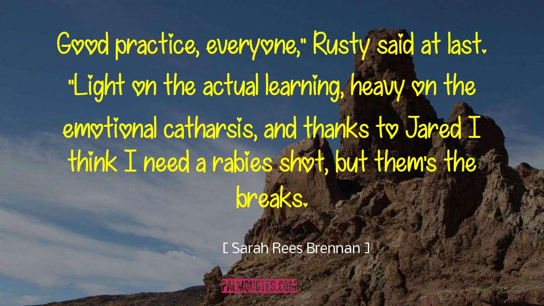 Catharsis quotes by Sarah Rees Brennan