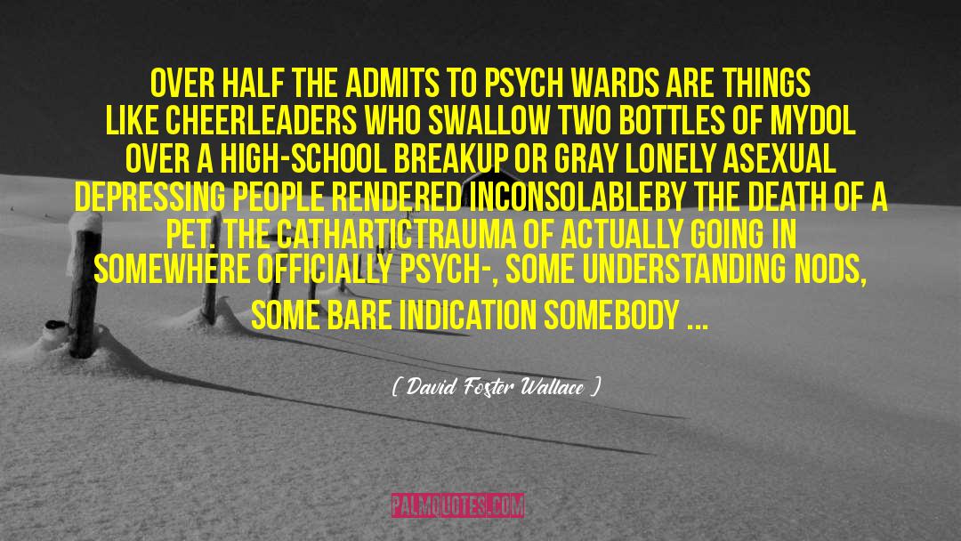 Cathartic quotes by David Foster Wallace