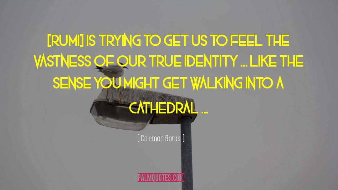 Cathedral quotes by Coleman Barks
