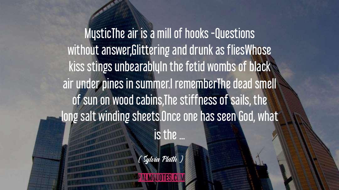 Cathedrals quotes by Sylvia Plath