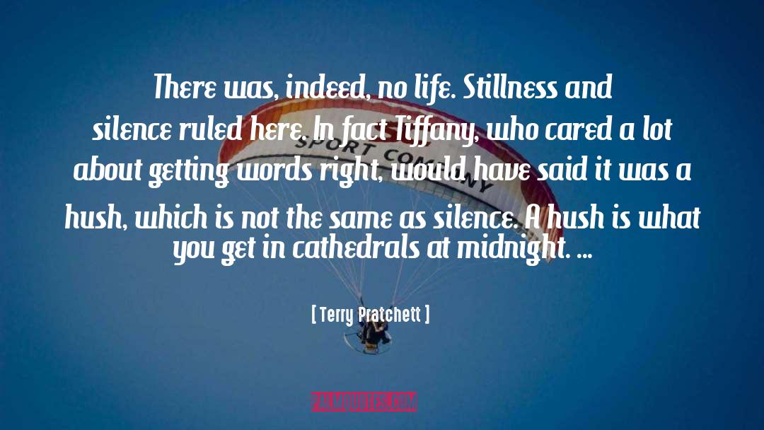 Cathedrals quotes by Terry Pratchett