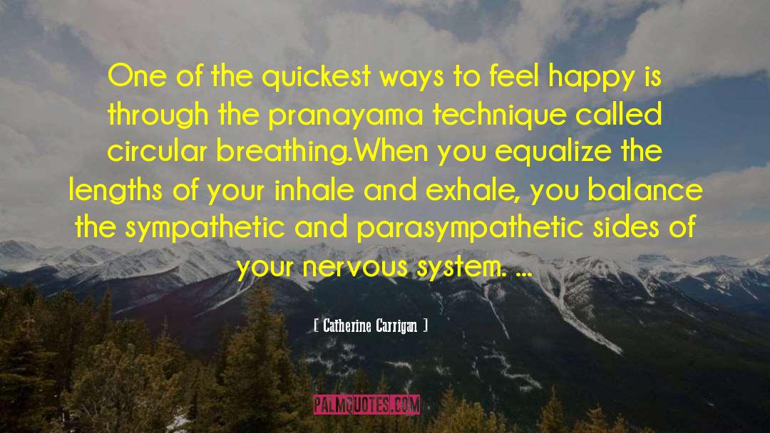 Catherine Coulter quotes by Catherine Carrigan