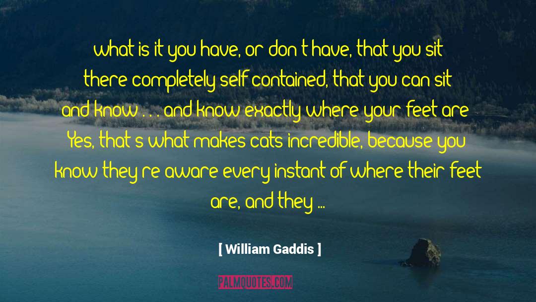 Cats And Dogs quotes by William Gaddis