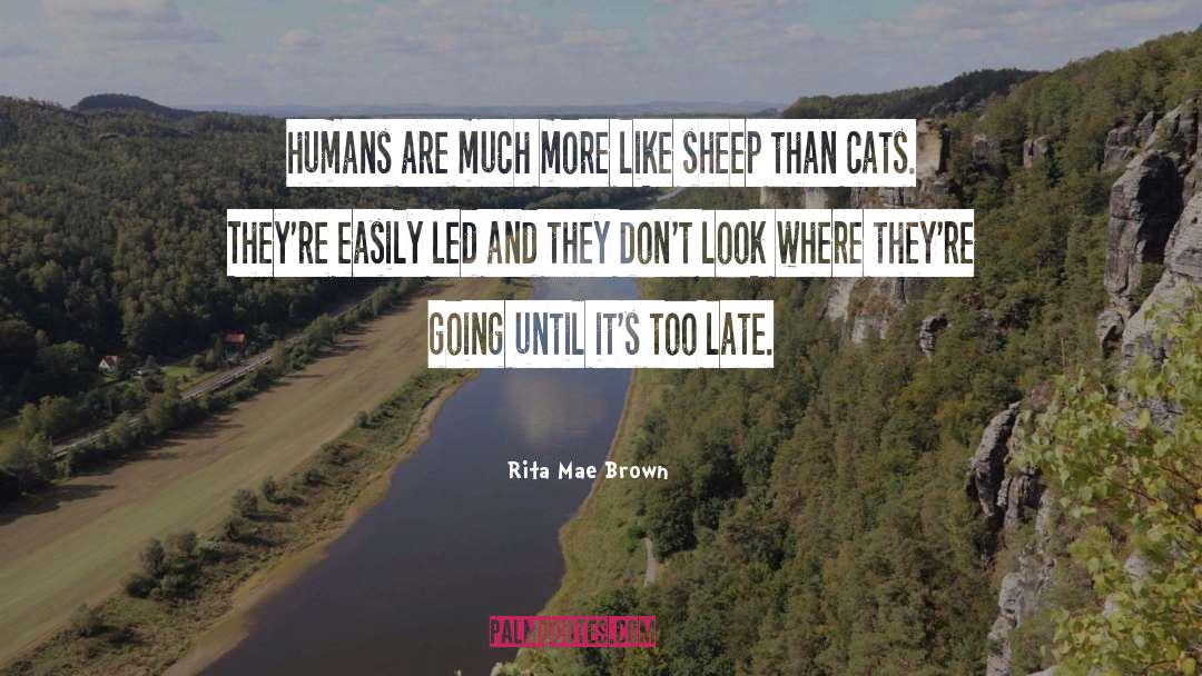 Cats Are Dang Weird quotes by Rita Mae Brown