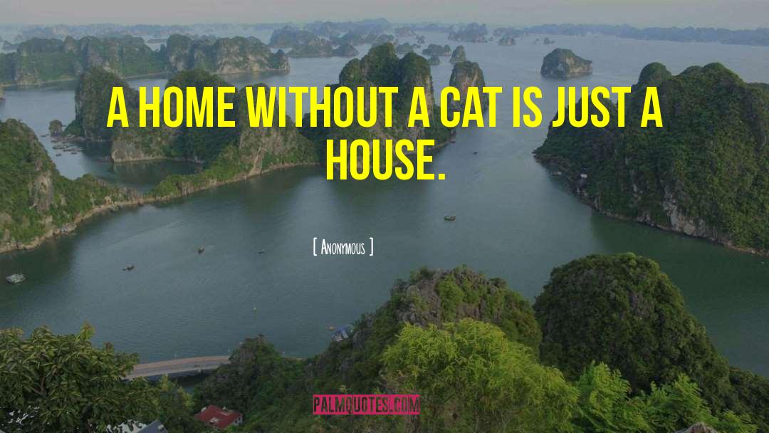 Cats Home quotes by Anonymous