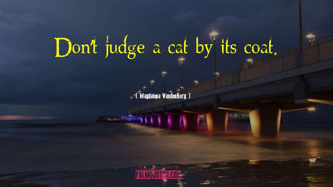 Cats Humor quotes by Magdalena VandenBerg