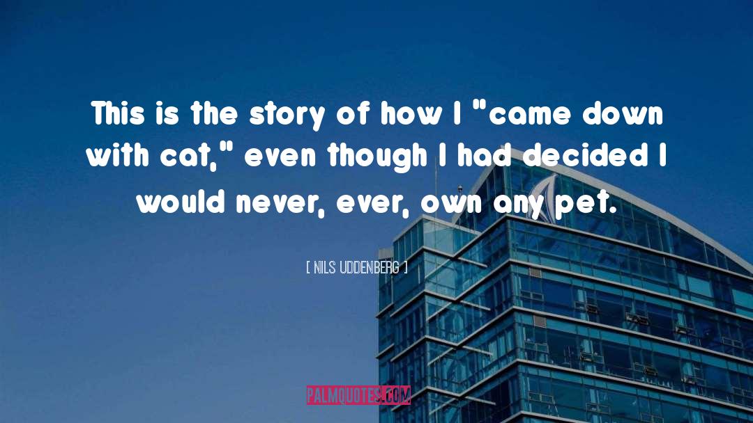 Cats Humor quotes by Nils Uddenberg