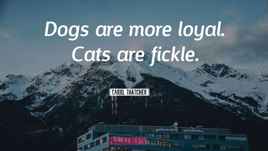 Cats quotes by Carol Thatcher