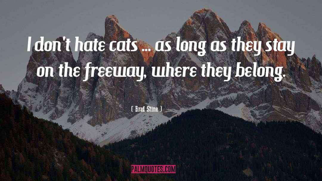 Cats quotes by Brad Stine
