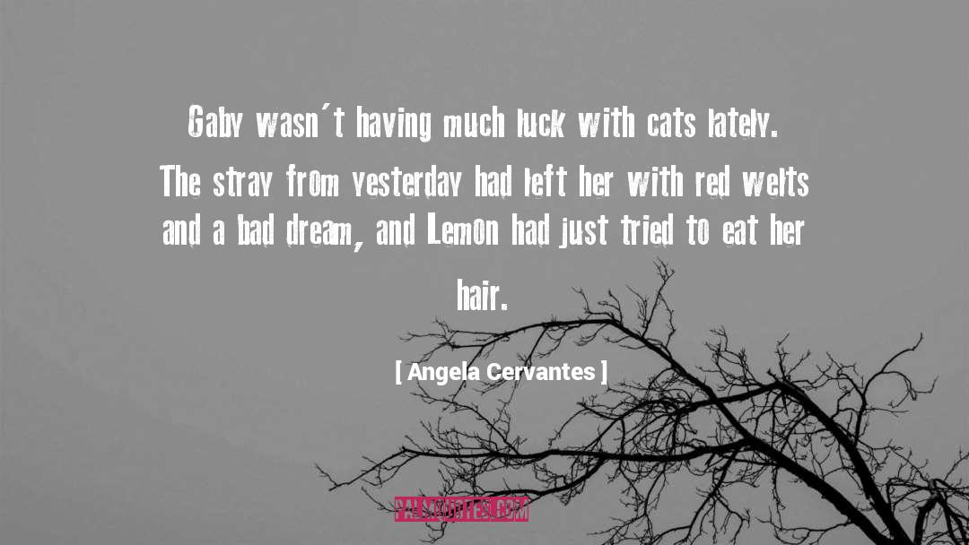 Cats quotes by Angela Cervantes