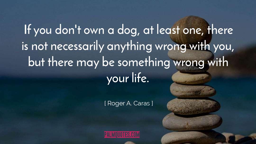 Cats Vs Dogs quotes by Roger A. Caras