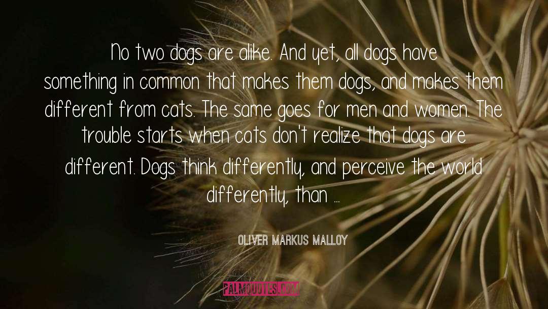 Cats Vs Dogs quotes by Oliver Markus Malloy
