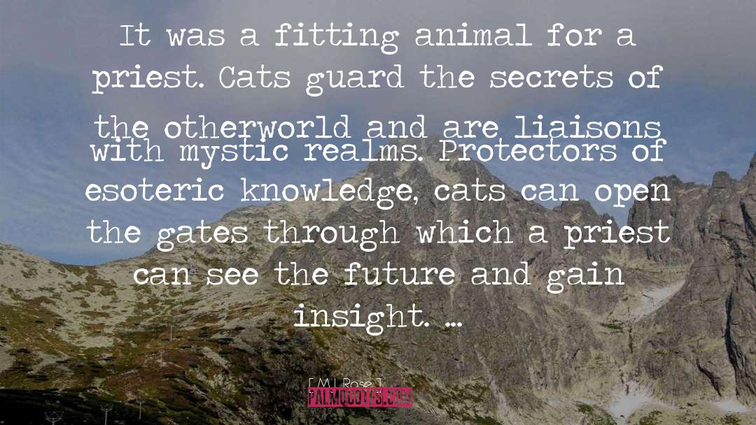 Catskills quotes by M.J. Rose
