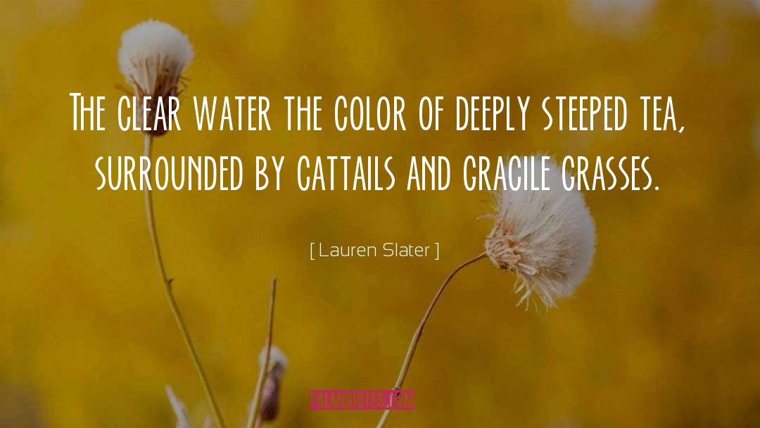 Cattails Wiki quotes by Lauren Slater