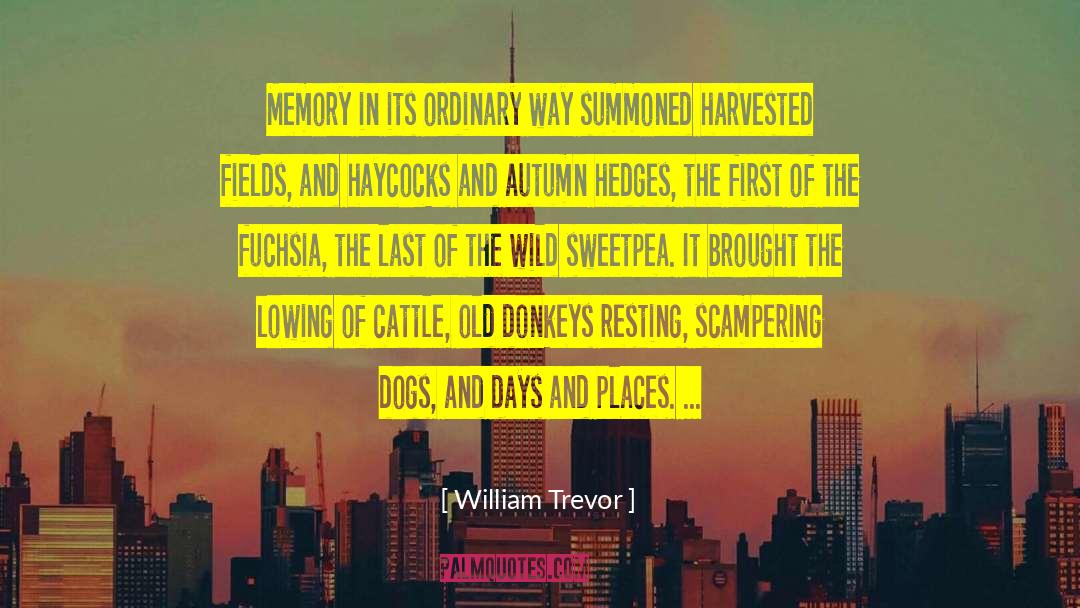 Cattle quotes by William Trevor