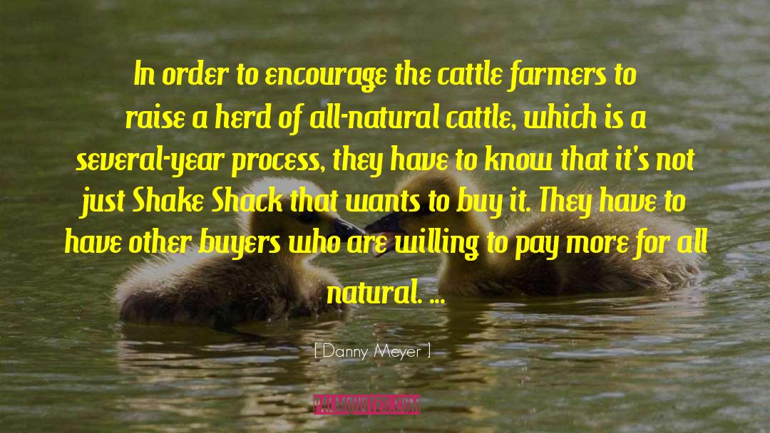 Cattle quotes by Danny Meyer