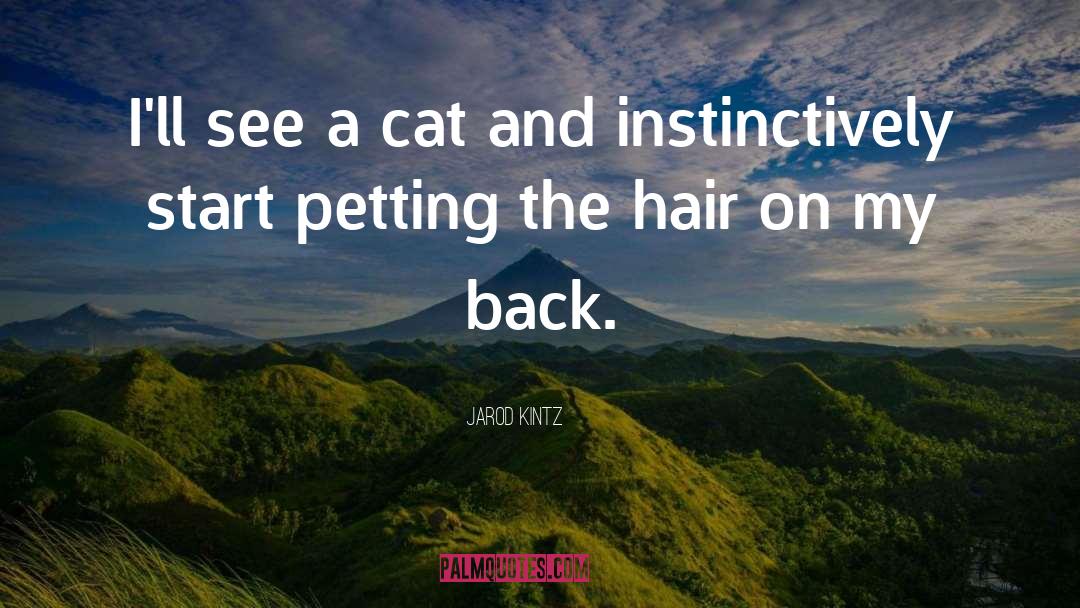 Catwalk Hair quotes by Jarod Kintz