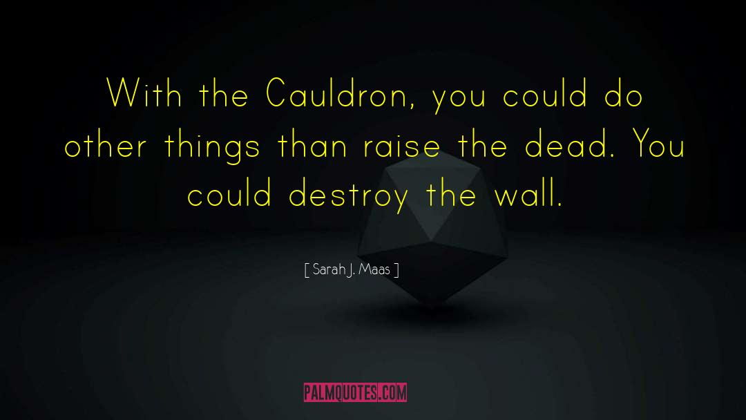 Cauldron quotes by Sarah J. Maas