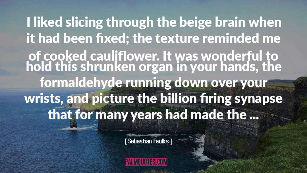 Cauliflower quotes by Sebastian Faulks