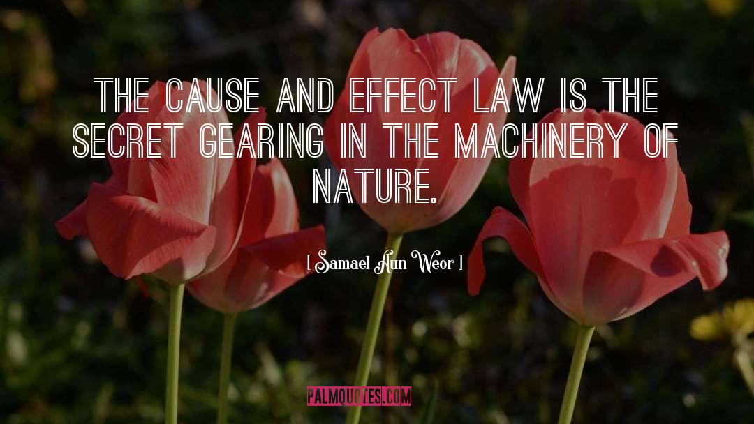 Cause And Effect quotes by Samael Aun Weor