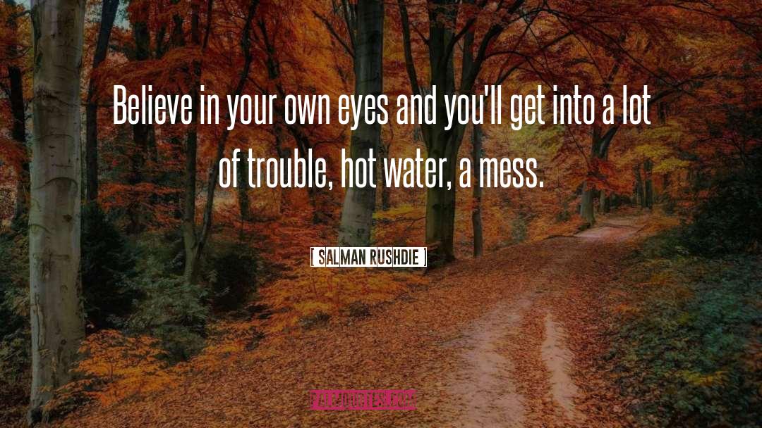 Cause Of Trouble quotes by Salman Rushdie